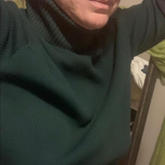 Ban-Lon vintage/history-fabric-Phillips 66, unisex, M, green turtleneck sweater. - Picture 1 of 10